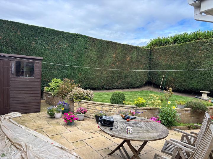 Tall conifer hedge trimmed around a patio garden