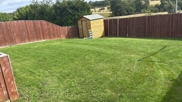 Lawn cut in a fenced back garden with a timber shed