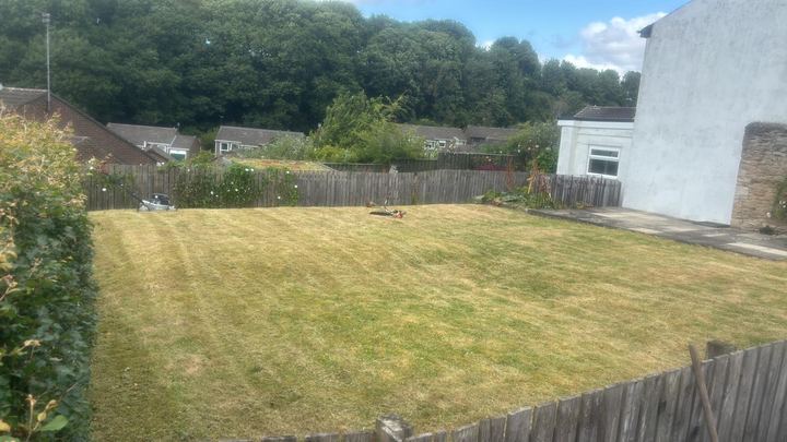 Lawn cut with fresh stripes